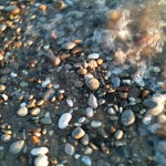 Moon Tide Designs